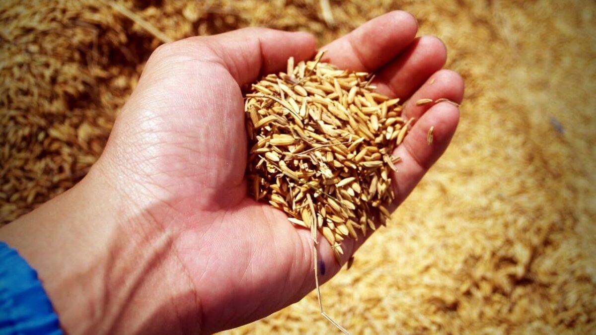 El alimento de la cocina tradicional española que es dañino para el páncreas