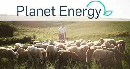 Pastoreo antincendios: cómo repoblar la «España vaciada» y los ecosistemas