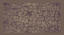 Medidas urgentes contra la sequía