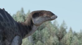 Nuevos fósiles revelan que los hadrosáuridos habrían vivido en el Cretácico superior