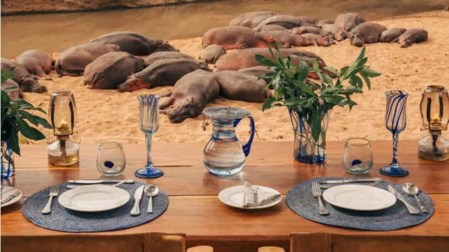 Desayuno de lujo entre hipopótamos