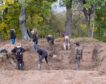 Ribera cobra una tasa por exhumar a tres víctimas del franquismo en terrenos públicos