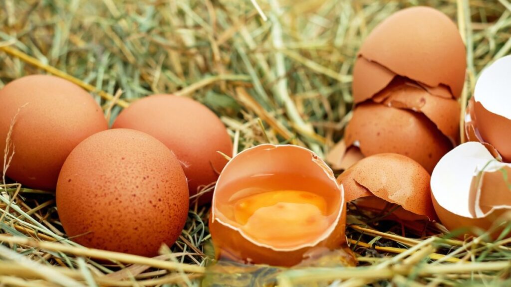 Los huevos son una de las principales fuentes de proteínas.