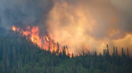 Las cifras de «la peor temporada registrada de incendios forestales en Canadá»