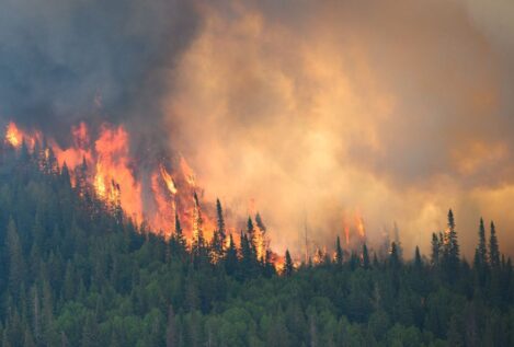 Canadá acumula un 23% de las emisiones mundiales de CO2 por los incendios forestales