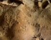 Encuentran grabados rupestres neandertales con más de 57.000 años de antigüedad
