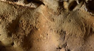 Encuentran grabados rupestres neandertales con más de 57.000 años de antigüedad