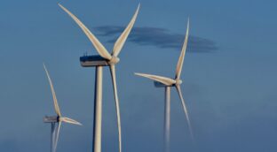 Las renovables esperan que Feijóo pague las sanciones por las primas que retiró Rajoy