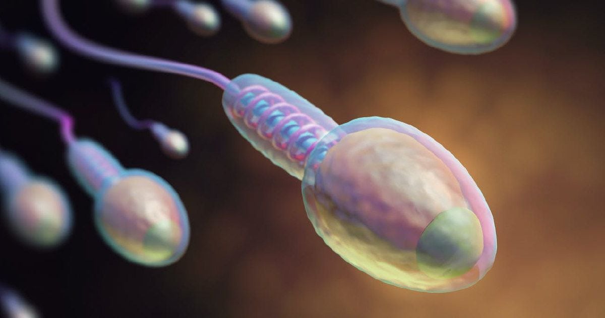 Donación de esperma: ¿es necesario poner límites?