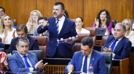 El PP no se suma a Vox para reprobar a Sánchez y Ribera en el Parlamento andaluz por la fresa