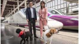 Renfe permitirá perros de hasta 40 kilos en los AVE entre Madrid, Alicante y Valencia