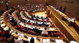 «Por la Madre Tierra y la Igualdad»: el juramento de una diputada en el Parlamento valenciano