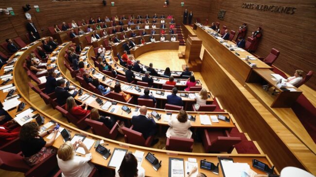 «Por la Madre Tierra y la Igualdad»: el juramento de una diputada en el Parlamento valenciano