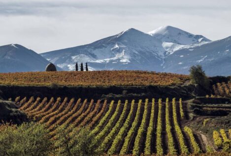 El BOE publica la orden de Agricultura que modifica la DOC Rioja para blindar sus viñedos