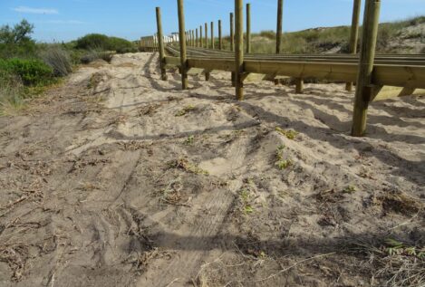 Los ecologistas denunciarán ante la Eurocámara el Eurovelo de Cádiz