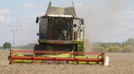 La cosecha de cereal en Castilla y León cae un 37%