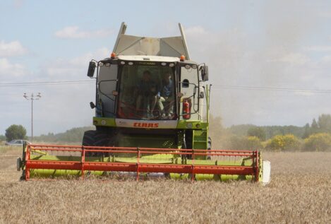 La cosecha de cereal en Castilla y León cae un 37%