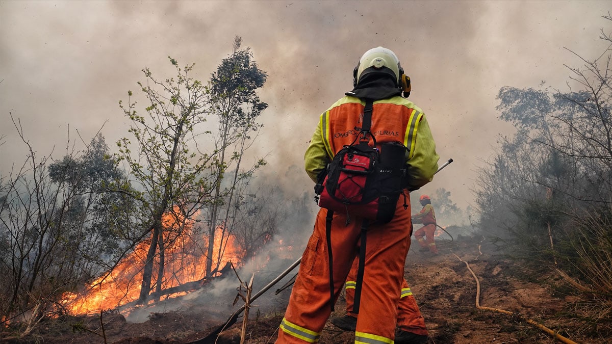 Más de media España está en riesgo extremo de incendios por la ola de calor