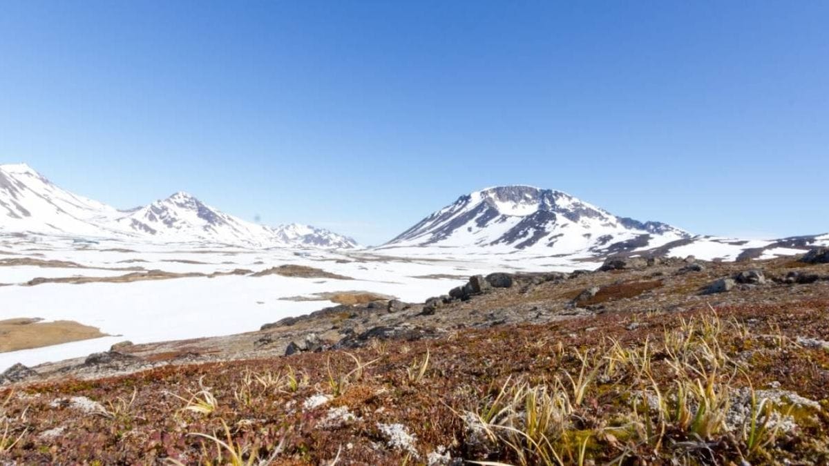 El noroeste de Groenlandia estuvo libre de hielo hace 400.000 años