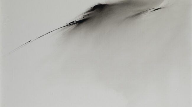 Casi 355.000 euros por los dos óleos de Zóbel en Ansorena