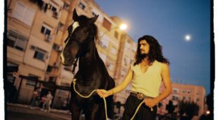 Israel Fernández, 'Pura Sangre' flamenca