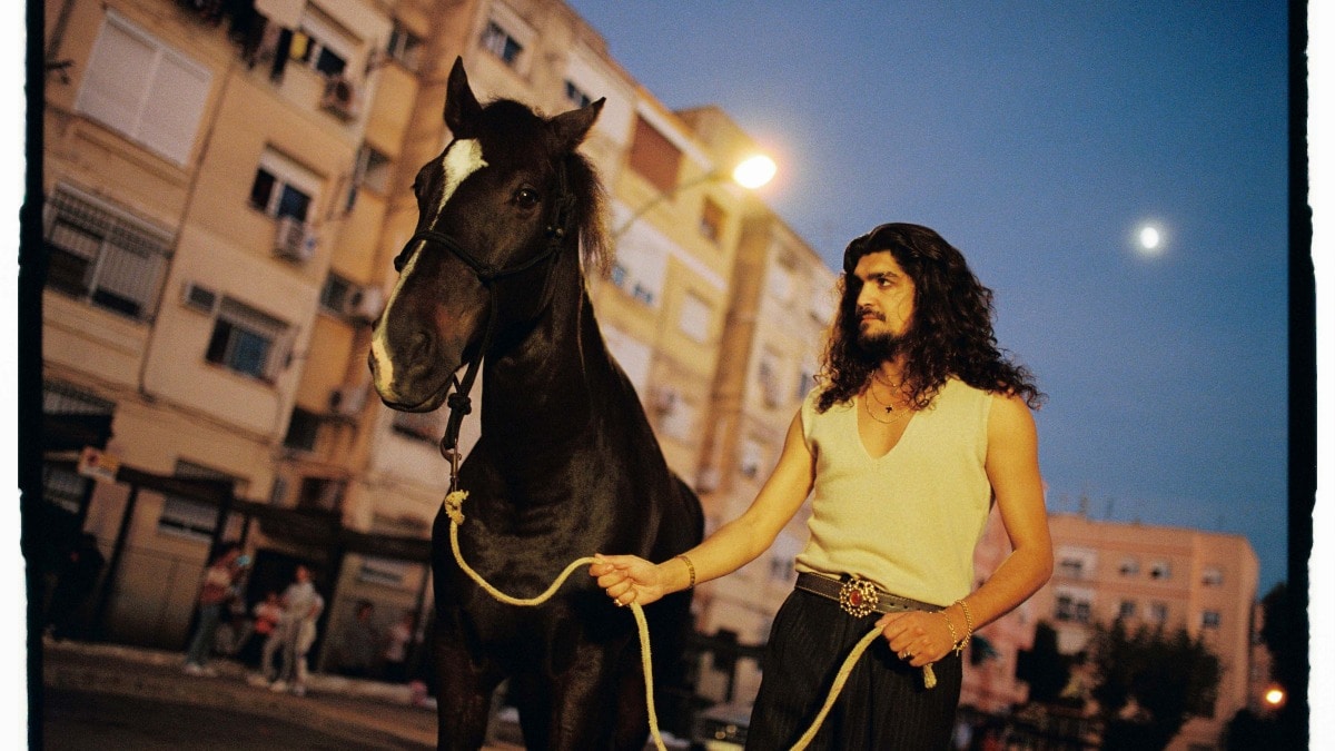 Israel Fernández, ‘Pura Sangre’ flamenca