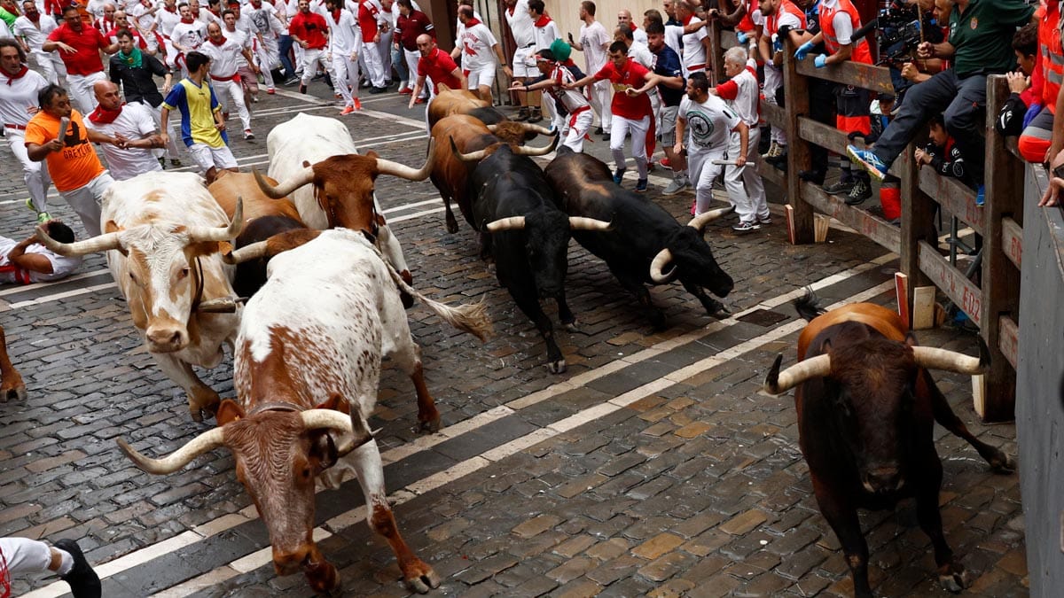 Los toros de La Palmosilla abren los encierros de San Fermín 2023 con una carrera rápida