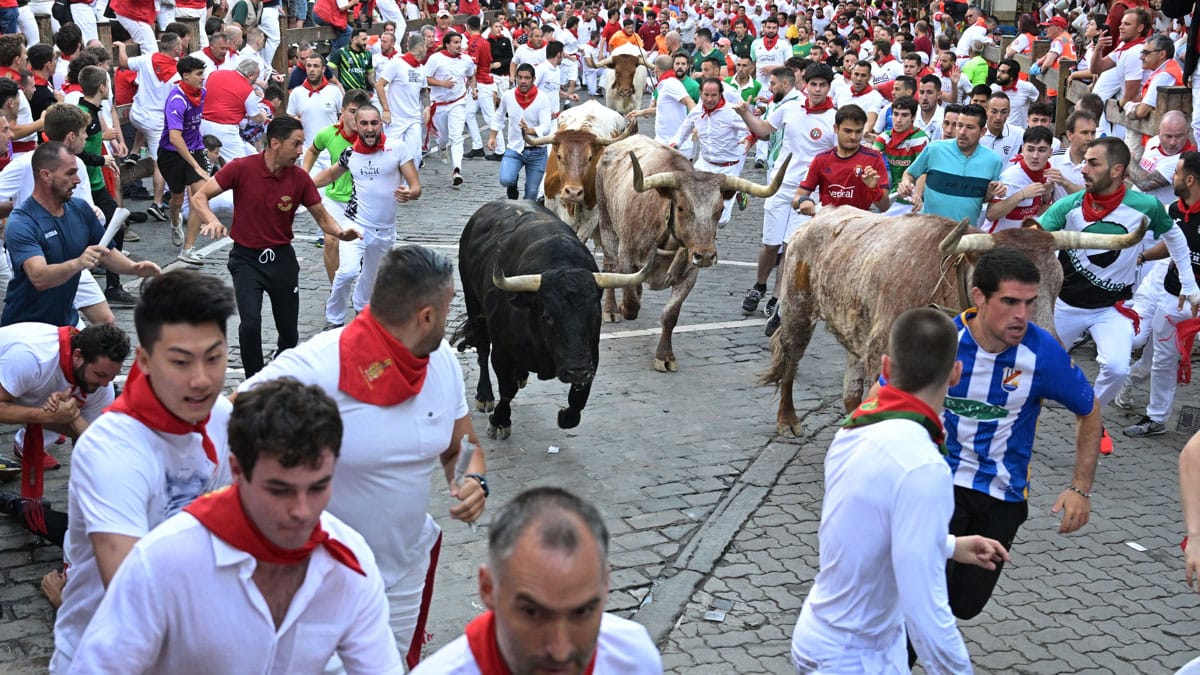 Los toros de Jandilla dejan carreras bonitas y rápidas en el sexto encierro de los Sanfermines