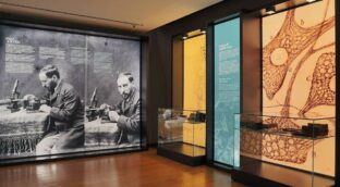 Abre en Madrid la exposición 'El legado histórico de Santiago Ramón y Cajal'