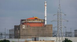 El OIEA pide pleno acceso para verificar en la central de Zaporiyia la colocación de explosivos
