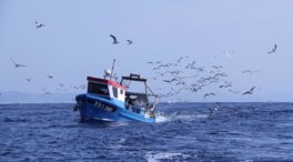 Los pescadores reclaman al Gobierno ayudas directas tras finalizar el acuerdo UE-Marruecos