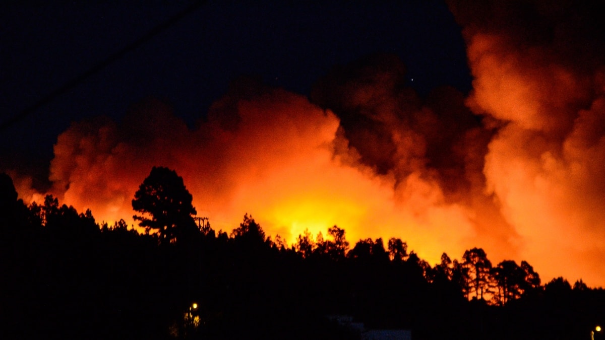 El incendio de La Palma alcanza el Parque Nacional de la Caldera de Taburiente