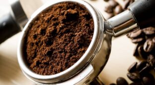 Un compuesto presente en alimentos puede mejorar la calidad de vida en el envejecimiento