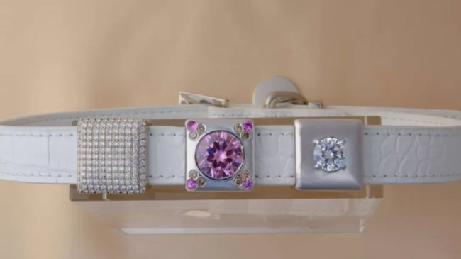 Collares para mascotas con diamantes y piel vegana