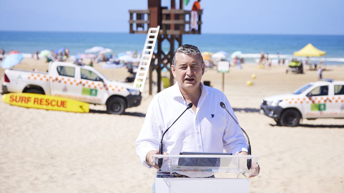 Andalucía demanda ayudas al Gobierno contra el alga asiática en Cádiz