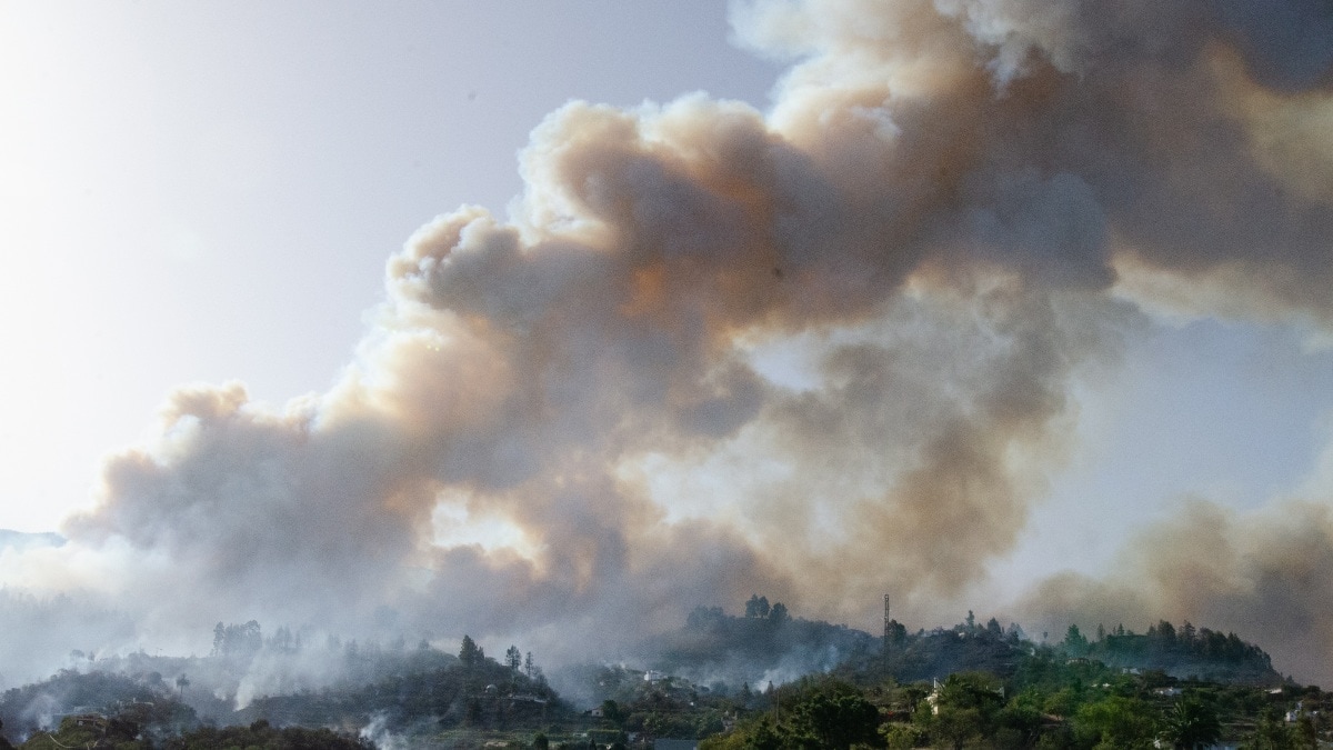 Un incendio forestal en Puntagorda (La Palma) obliga a la evacuación de los vecinos