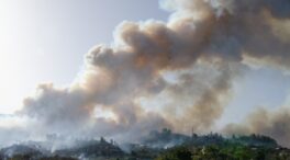 Un incendio forestal en Puntagorda (La Palma) obliga a la evacuación de los vecinos