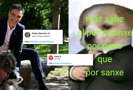 Sánchez y el PSOE, en el día del perro: «Más sabe el perro sanxe por perro que por sanxe»