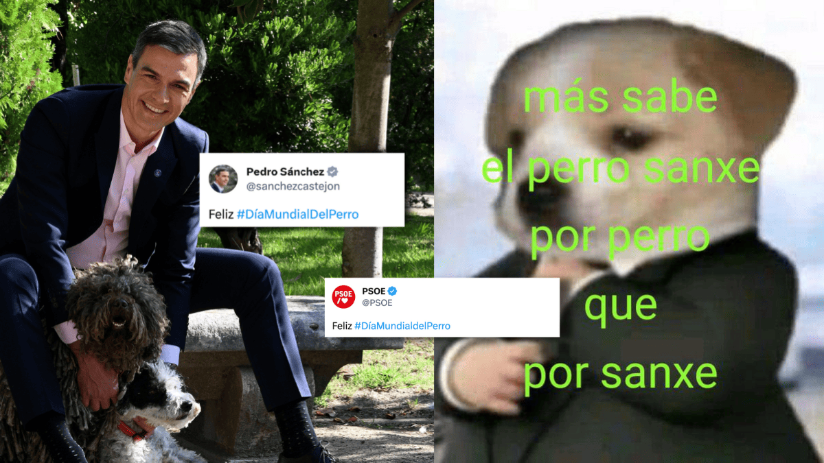 Sánchez y el PSOE, en el día del perro: «Más sabe el perro sanxe por perro que por sanxe»