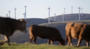 El Gobierno oculta la información de los laudos condenatorios por las primas de las renovables