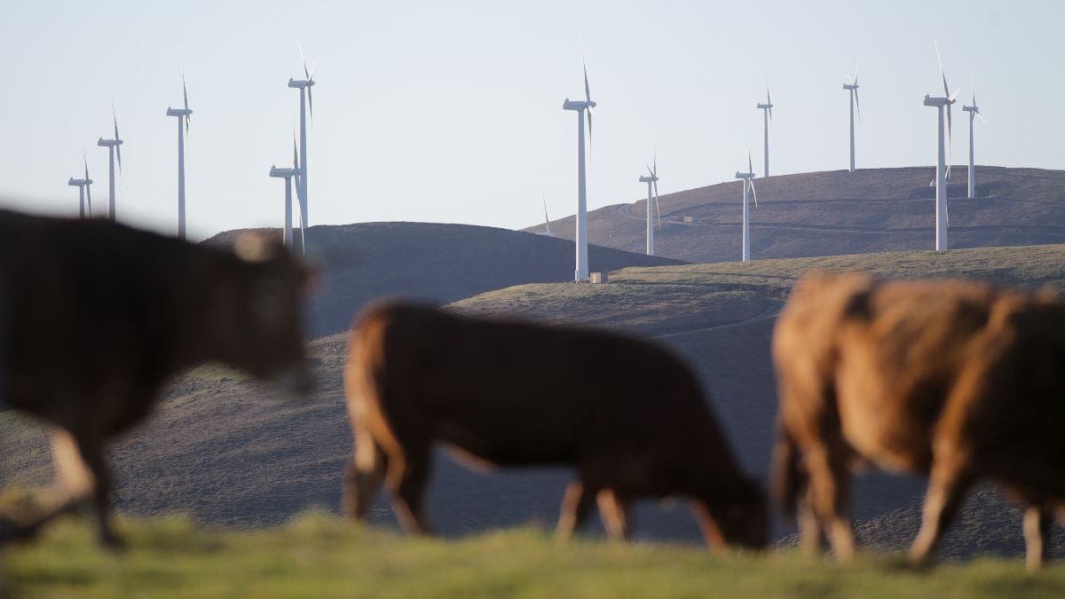 El Gobierno contrata a un despacho alemán para contrarrestar los laudos de las renovables