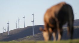 España pagará 550.000 euros solo en costas por recurrir los embargos de las renovables