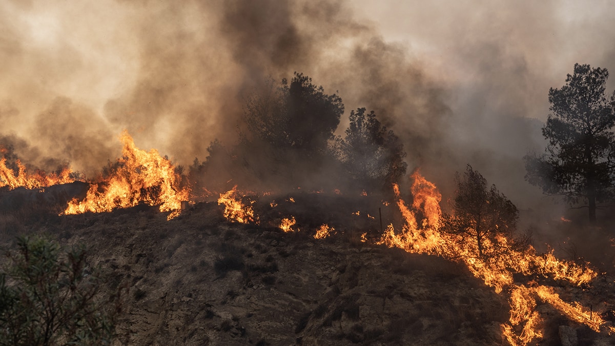 Incendios forestales siguen activos en Atenas