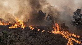 Incendios forestales siguen activos en Atenas