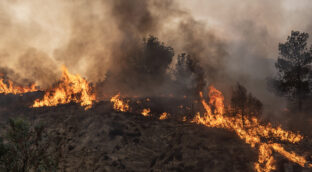 Incendios forestales siguen activos en Atenas