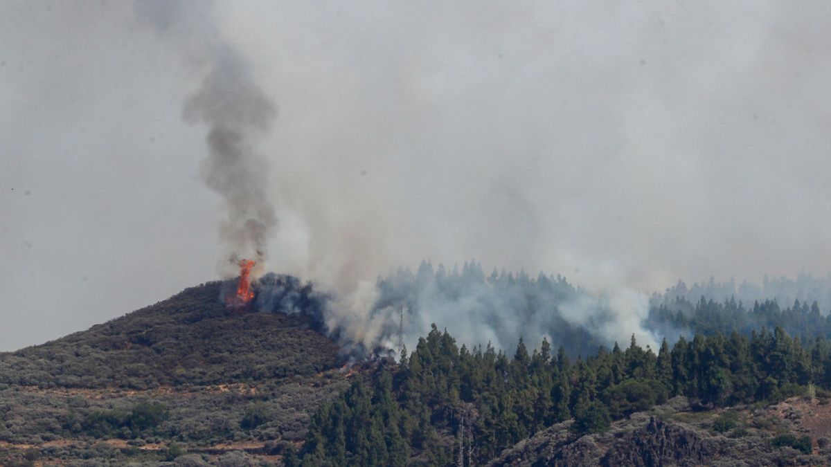 El incendio en Tejeda (Gran Canaria) afecta a 200 hectáreas y se baraja subir al nivel 2