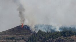 El incendio en Tejeda (Gran Canaria) afecta a 200 hectáreas y se baraja subir al nivel 2