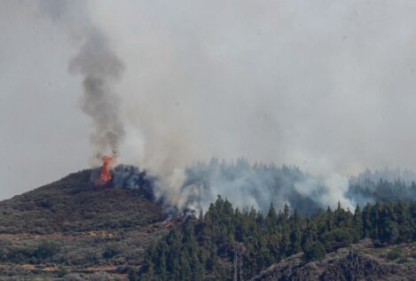 El Cabildo de Gran Canaria da por controlado el incendio que afectó a la cumbre de la isla