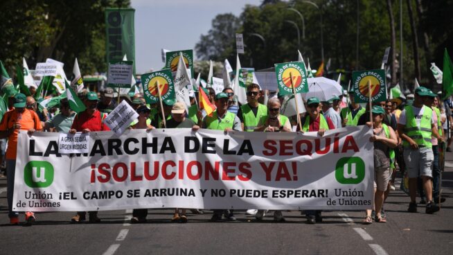 Bruselas aprueba ayudas agrícolas por 81 millones de euros para España frente a la sequía