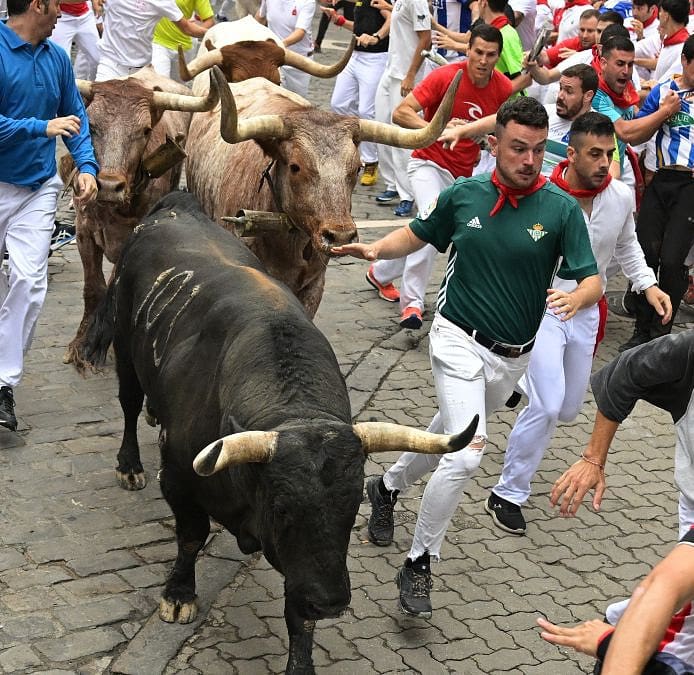 Los toros de Núñez del Cuvillo dejan un quinto encierro de los Sanfermines rápido y limpio